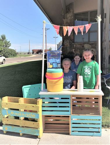 Foundation for Community Care Lemonade for a Cause wraps up successful season