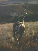 Our Outdoors: Tell Tale Signs