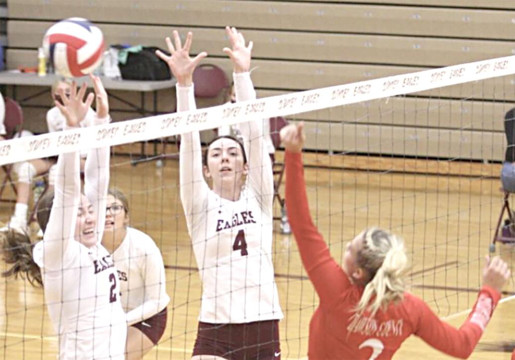 SHS volleyball preparing for exciting season kickoff Local Sports
