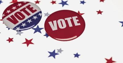 2020 Primary Election Steps To Voting By Mail Election Sidneyherald Com