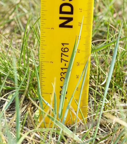 Grass development likely will be delayed this spring due to drought ...