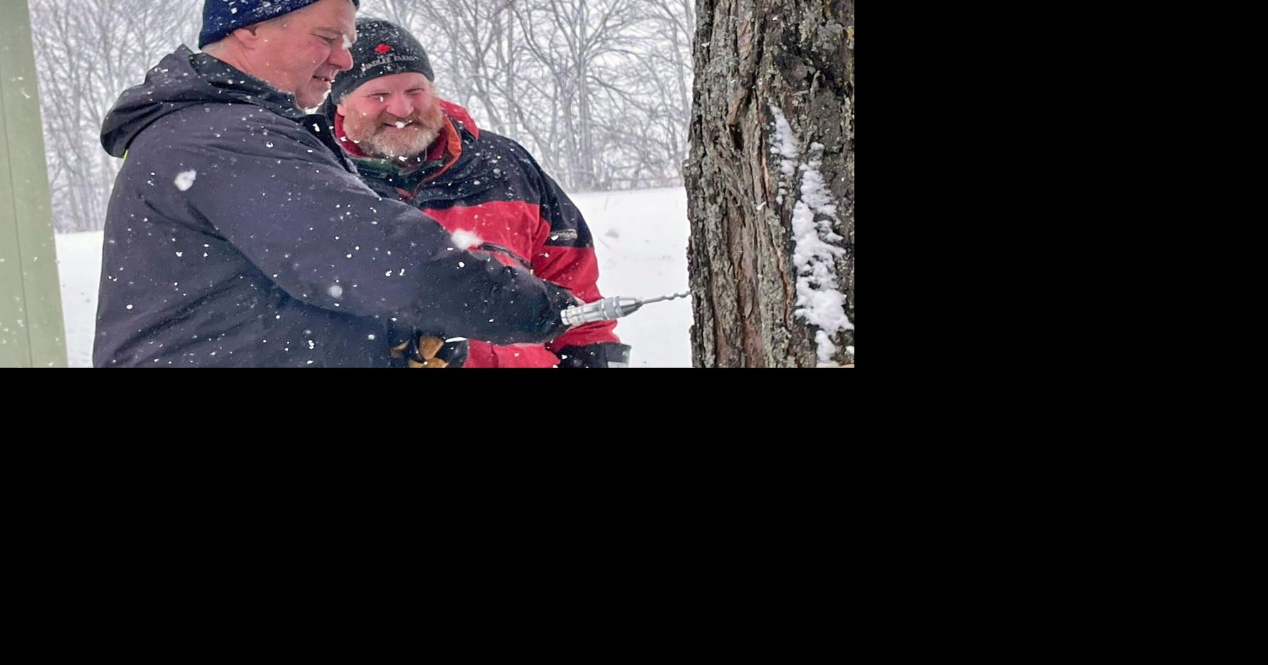 Maple syrup season kicks off in Simcoe County