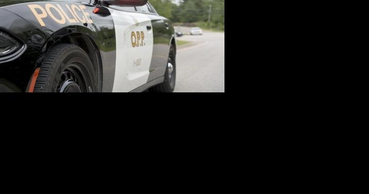 Aurora OPP blames road rage for Mississauga man's death - Vimarsana News