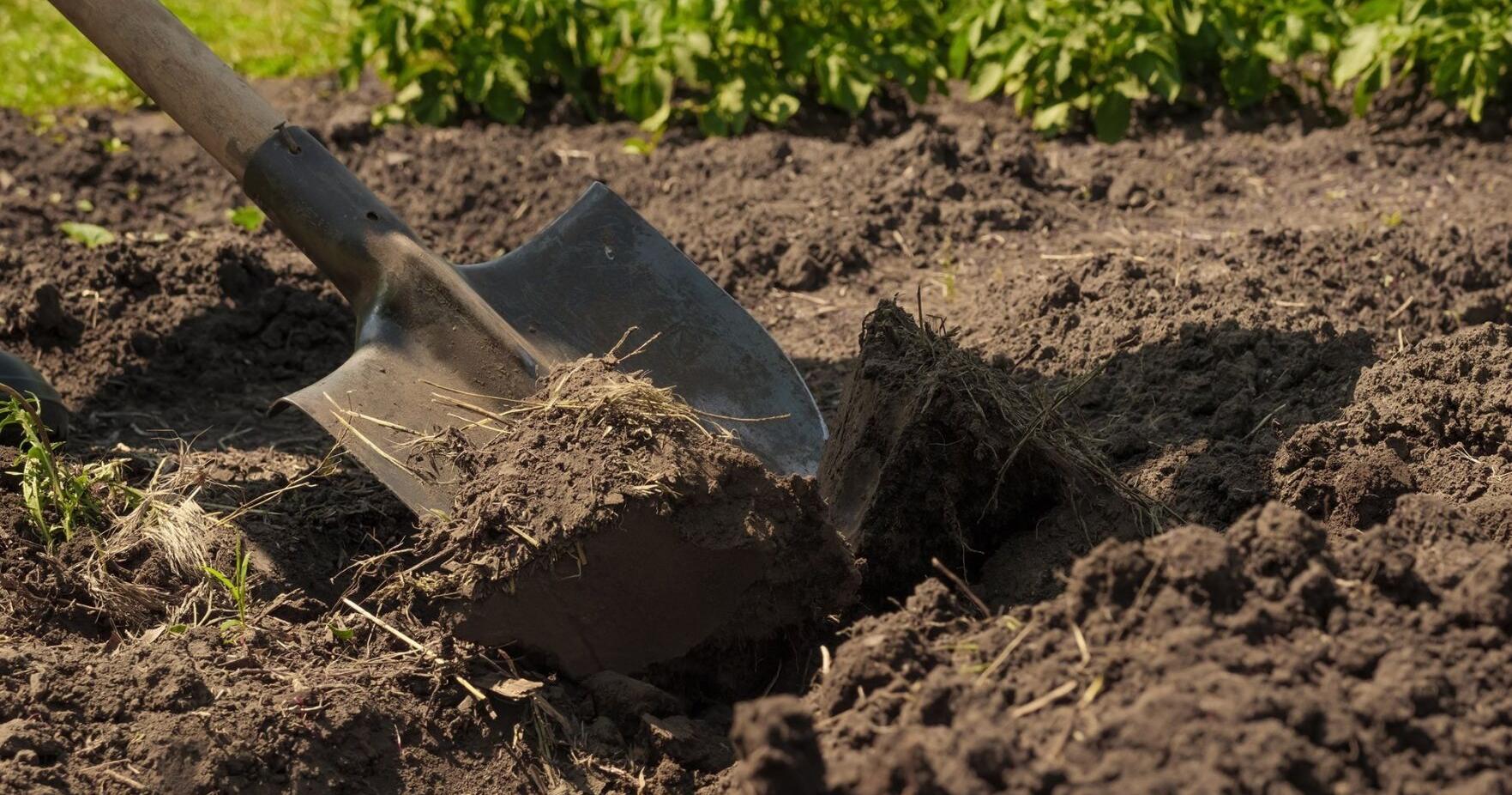 Planning an outdoor project? Be sure to call before you dig - Vimarsana News