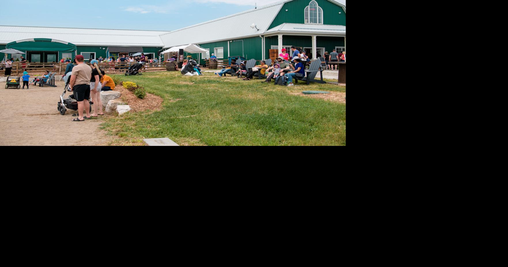 Sheldon Creek Dairy to host free Day on The Farm