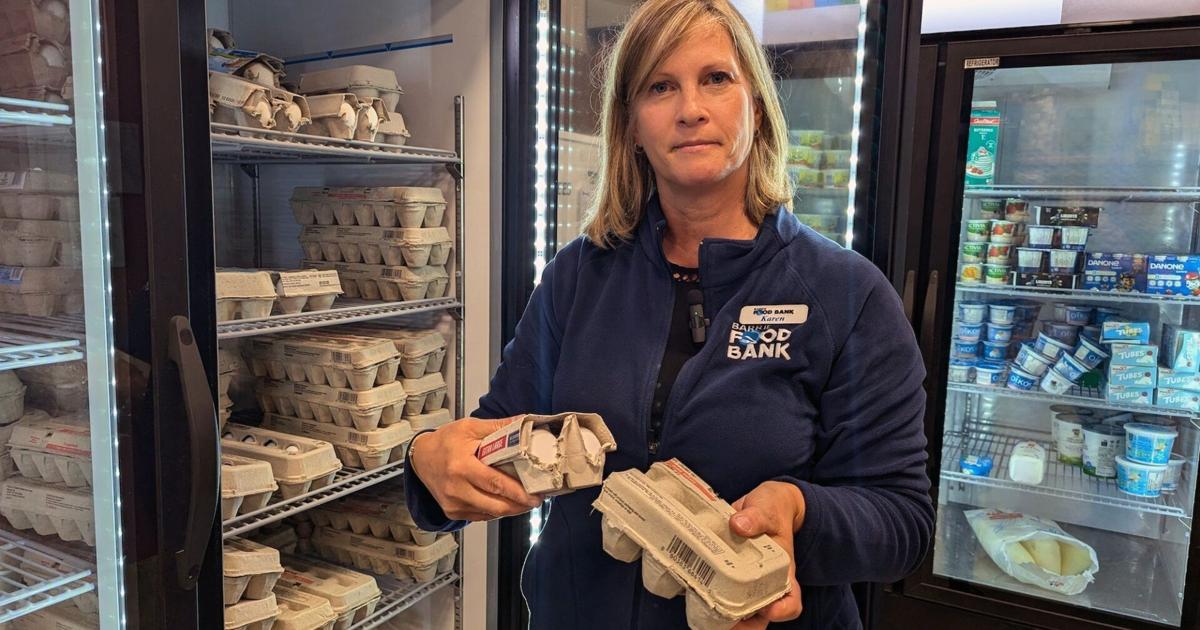 Can fruit trees help address Simcoe County food insecurity?