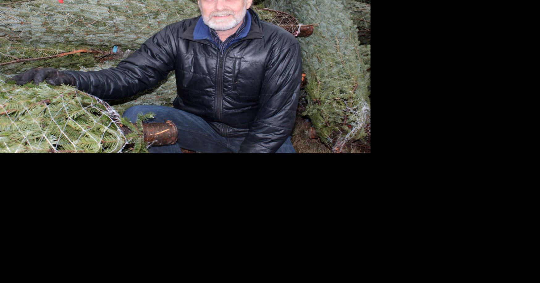 Everett tree farm helped shape industry