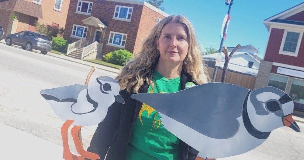 Fighting Ford: Here is why this woman is organizing protests against provincial government policy outside this Simcoe-Grey MPP’s office