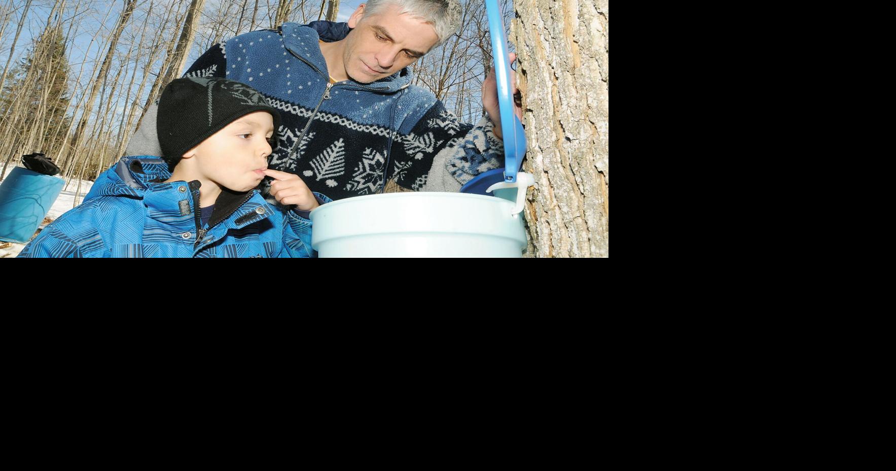 Maple syrup festival returning to Tiffin Centre in Utopia