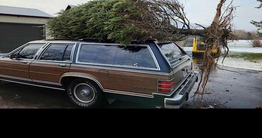 Coldwater Couples Clark Griswold Station Wagon Spreads Joy 1190