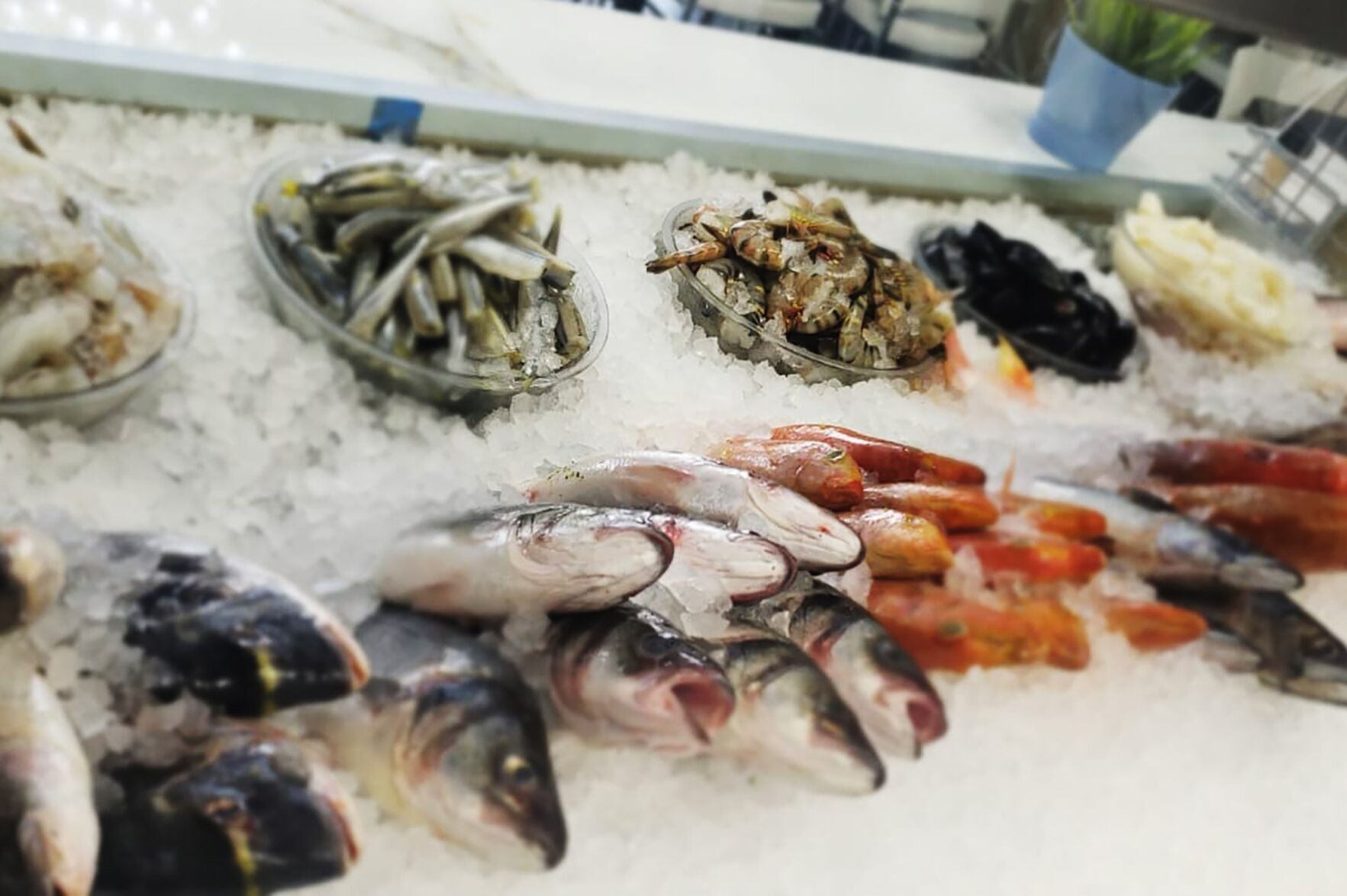 Best fish deals market near me