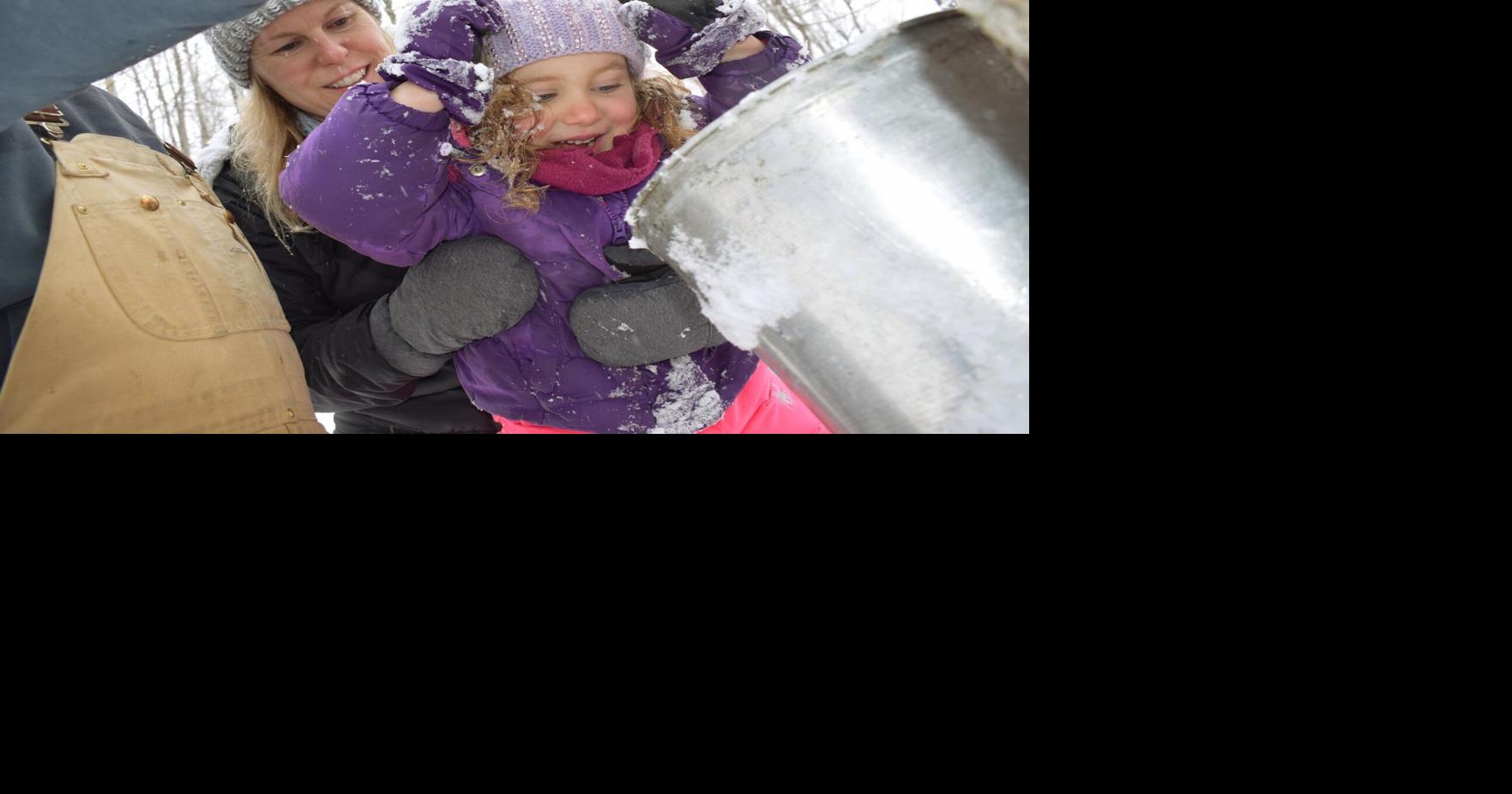 Here's where you'll find maple syrup producers in Simcoe County