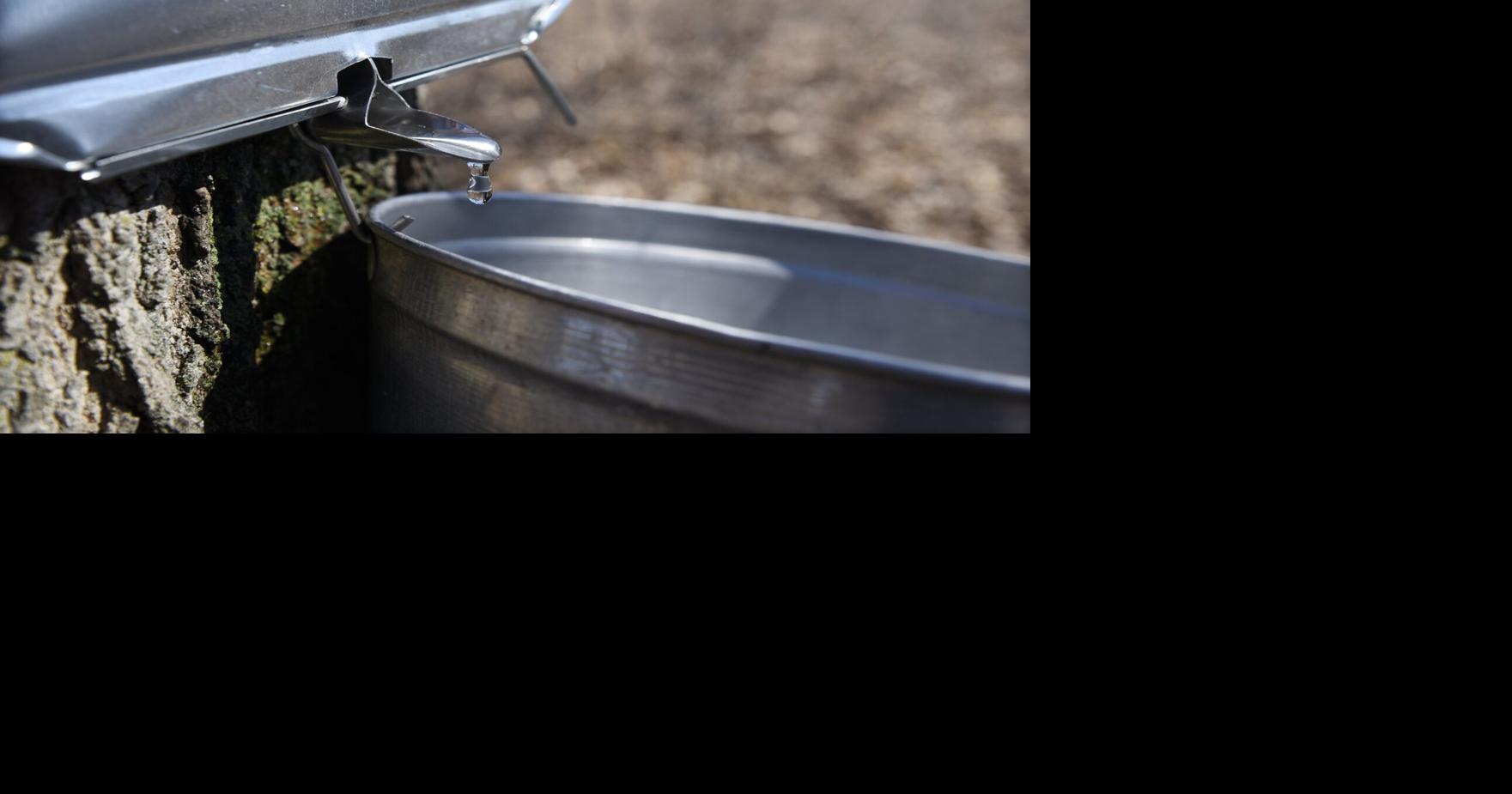 5 places to get maple syrup in Simcoe County
