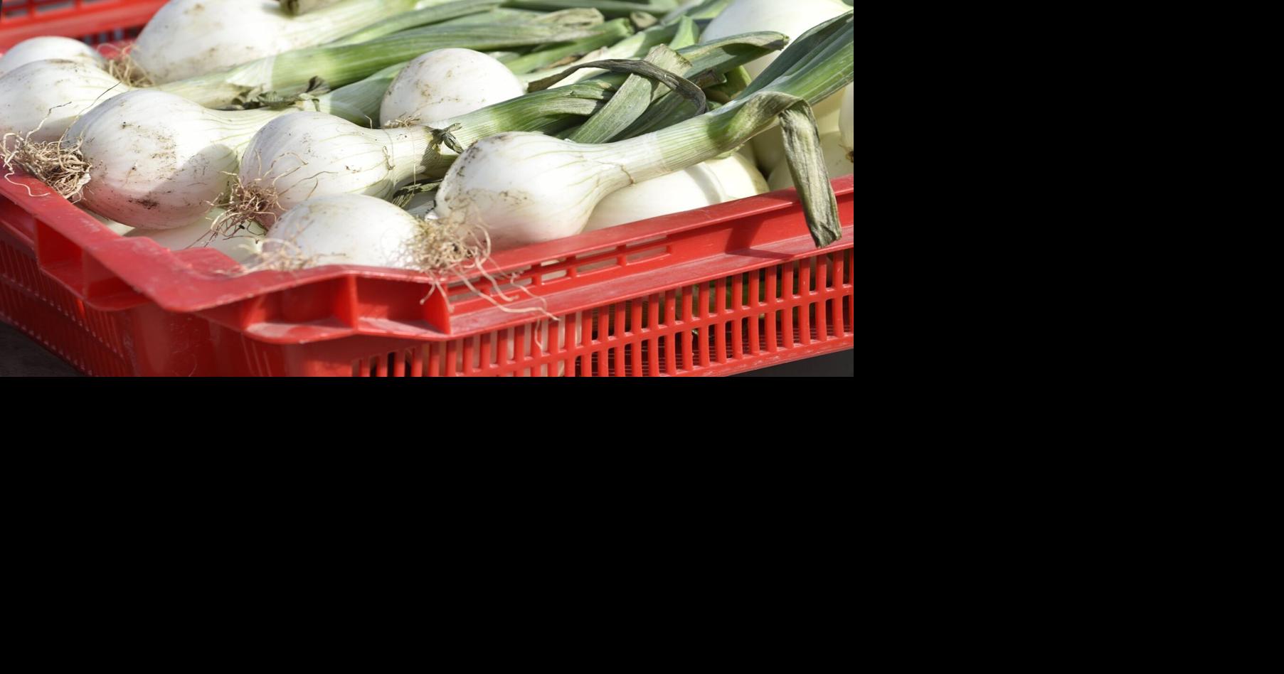 5 Things to do at Innisfil Onion Fest