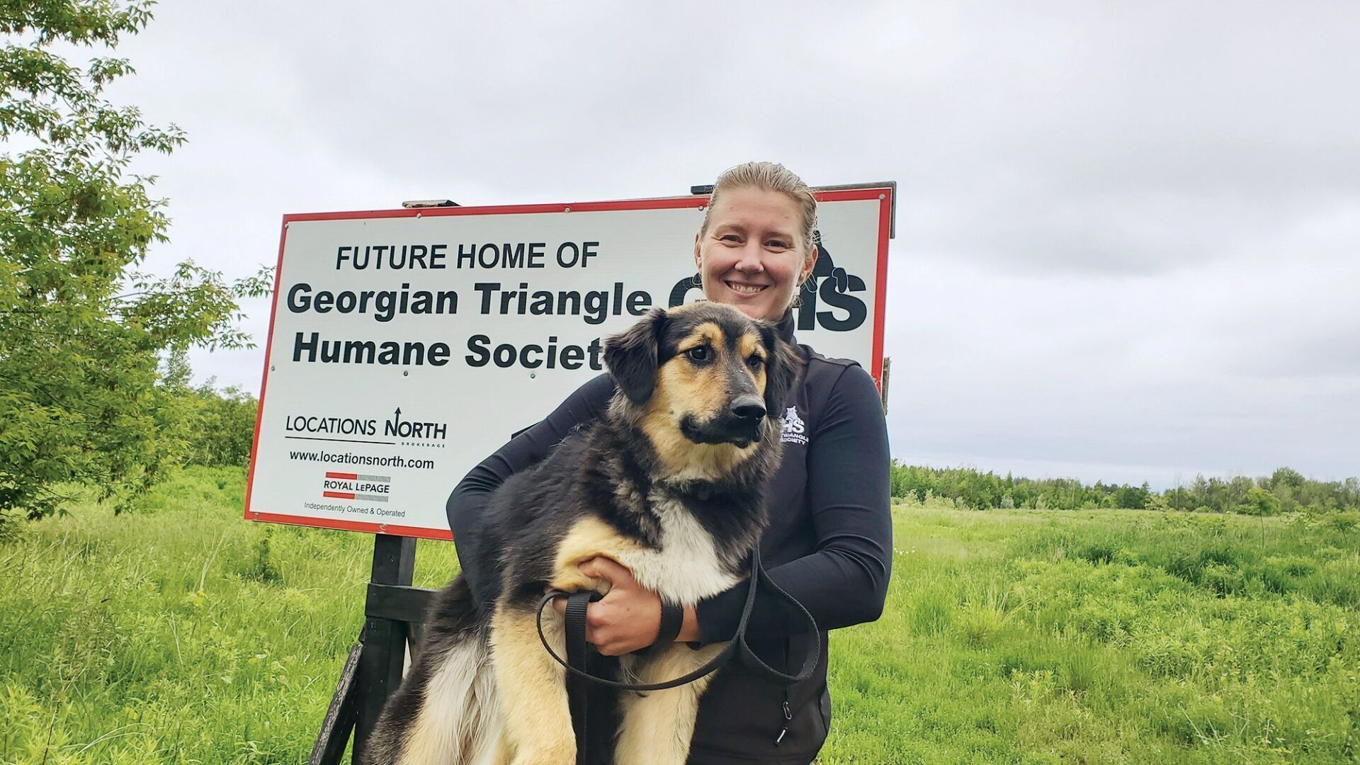 Georgian triangle humane society dogs sales for adoption