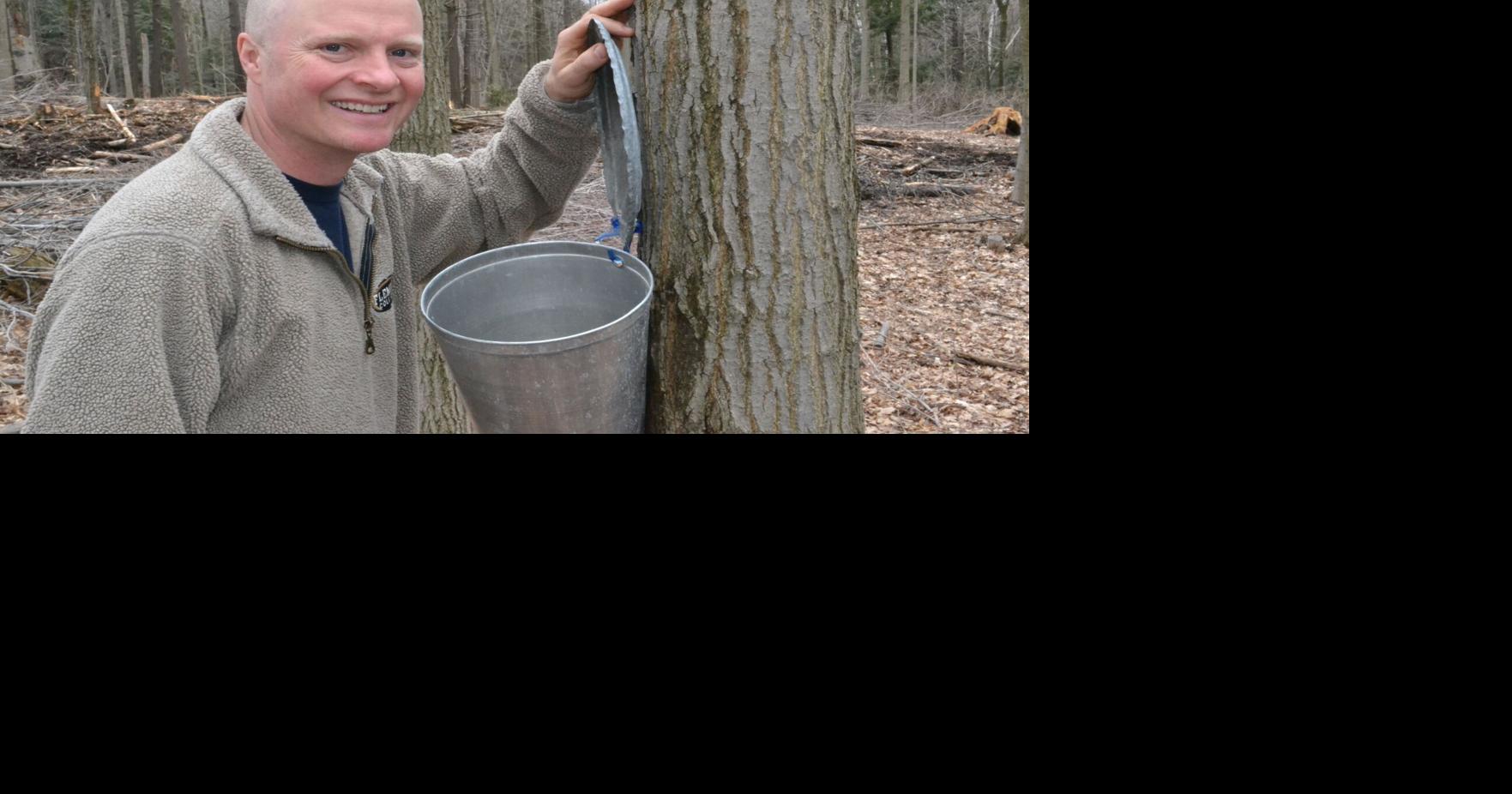 Maple syrup season in full swing in Innisfil