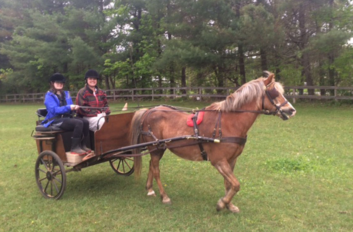 Simcoe County Carriage Driving for the Disabled looking for ...