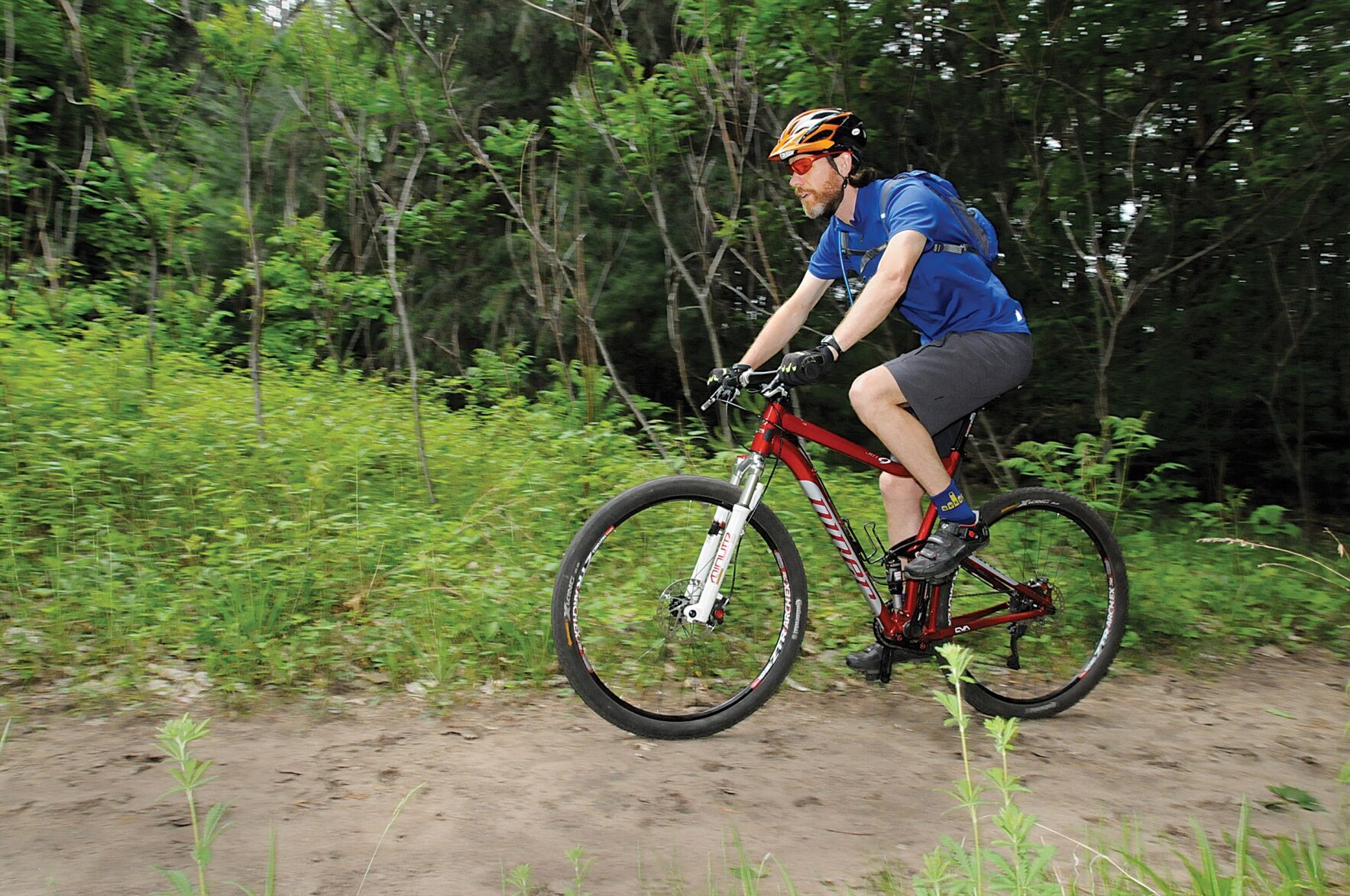 Copeland forest mountain online biking