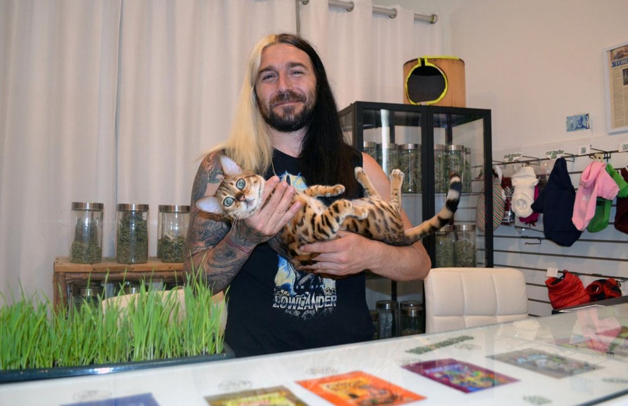 Catnip Dispensary operating in downtown Midland