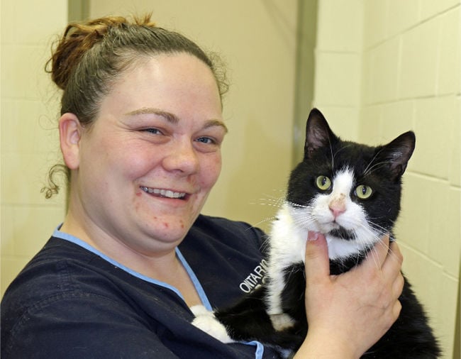 Meet your match at the OSPCA