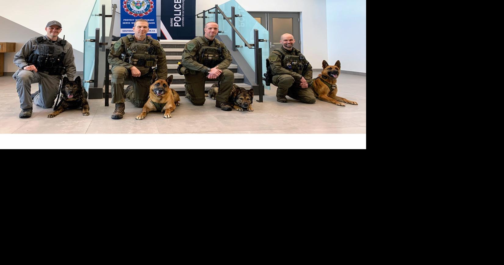 Police canine units in Barrie, South Simcoe, join forces to improve ...