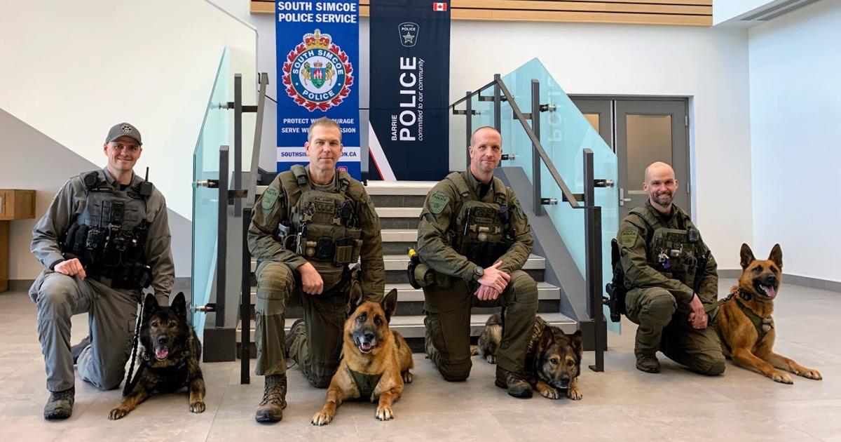 Simcoe County 511 Police canine units in Barrie, South Simcoe, join forces to improve ...