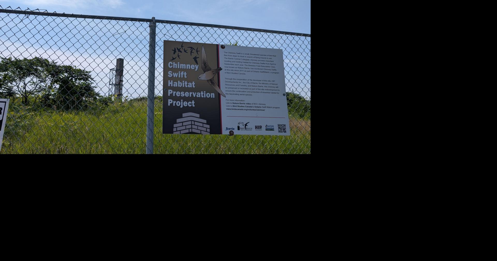For the birds: Headline 1: Barrie's new soccer stadium forces relocation of threatened chimney swifts