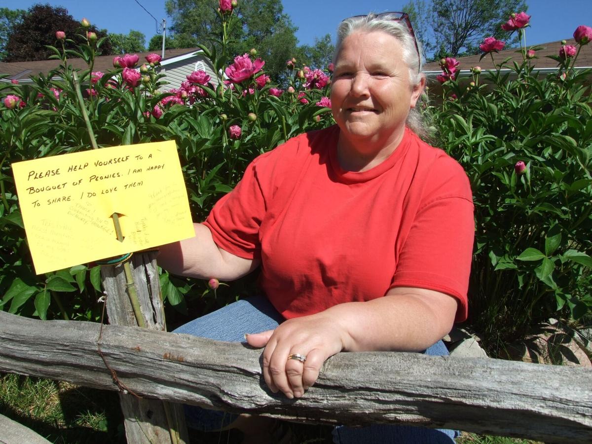 Flowers By June Orillia Ontario Best Flower Site