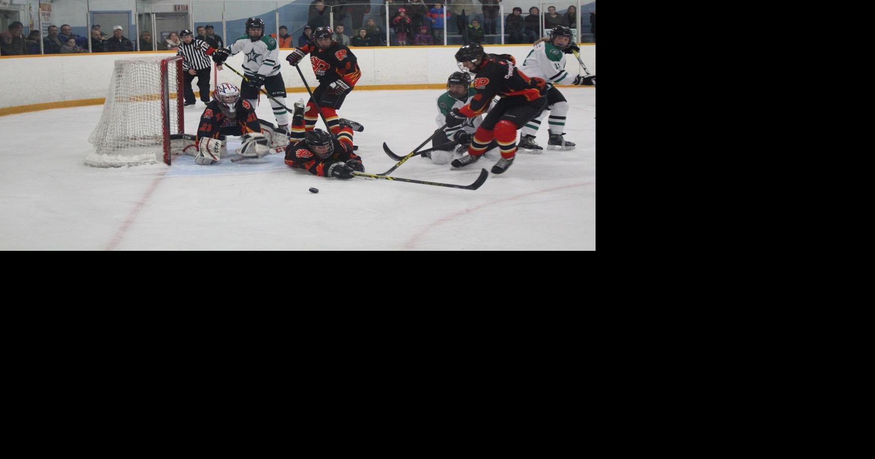 Flames down host's hopes for Wasaga Silver Stick title