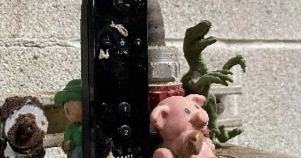 It's Feb.29. Our top story: Items found in Collingwood sewer - Vimarsana News