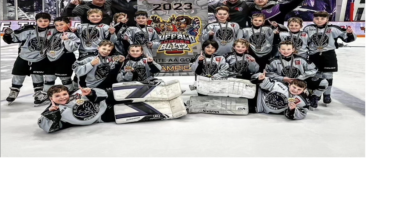 Barrie Purple Cobras coming home with gold
