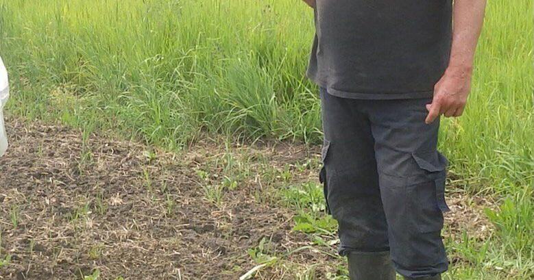 5-year study explores why Alliston aquifer water is so pure - Vimarsana News