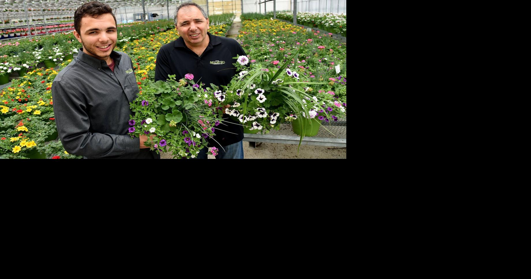 Bradford Greenhouses given national recognition