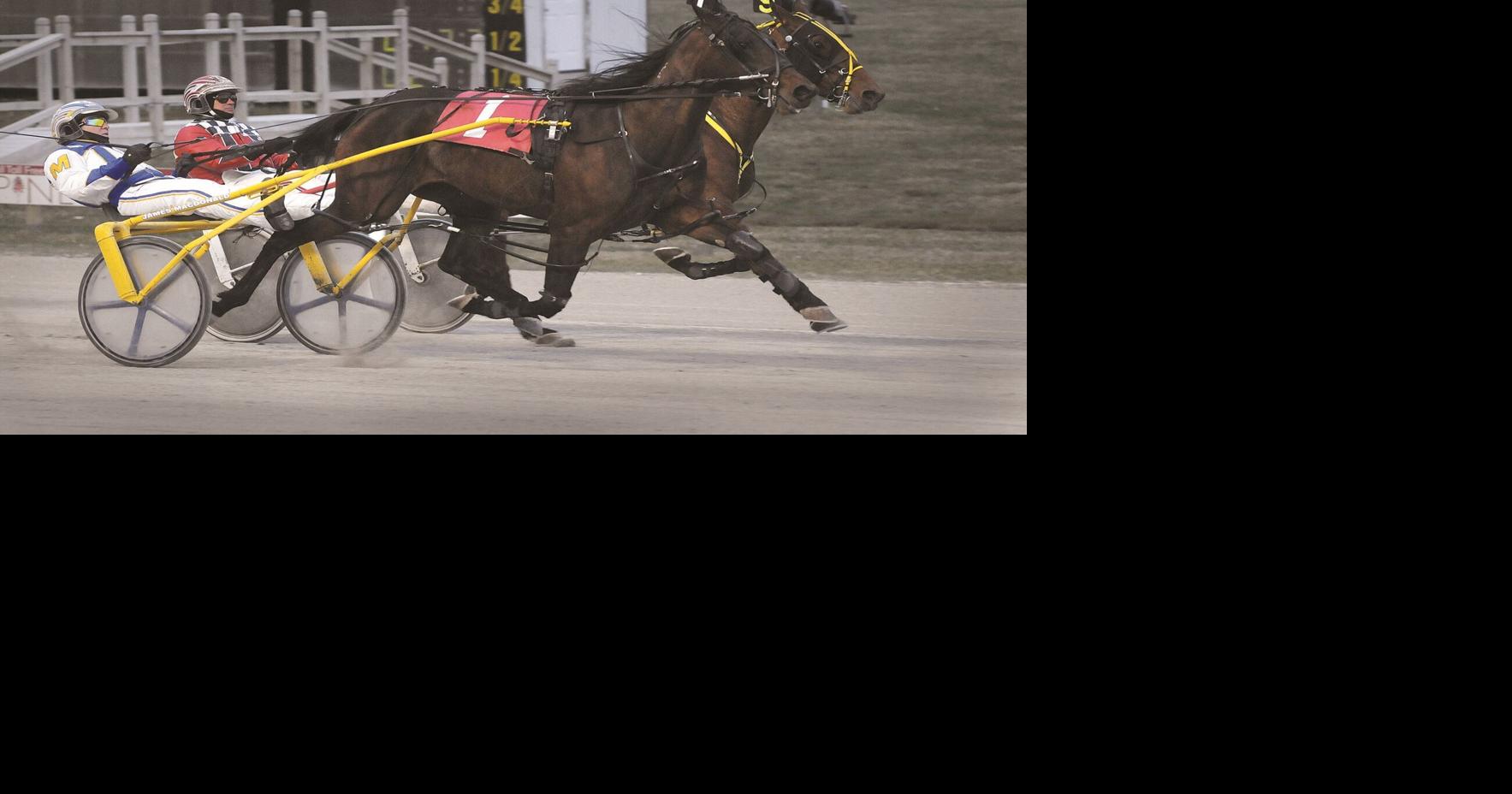 New horse racing plan, a ‘BandAid’ trainer