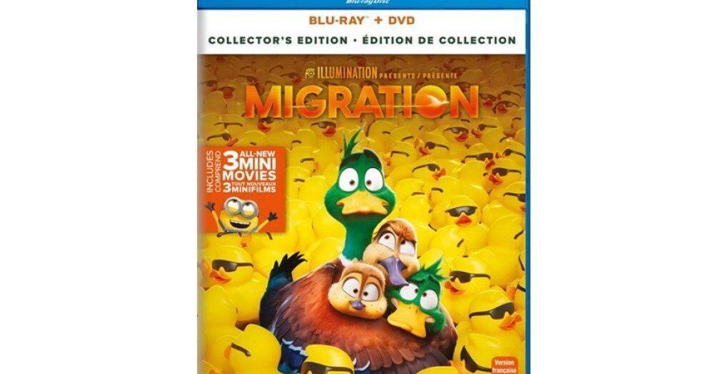 Animated movies and a series for kids of all ages! - Vimarsana News