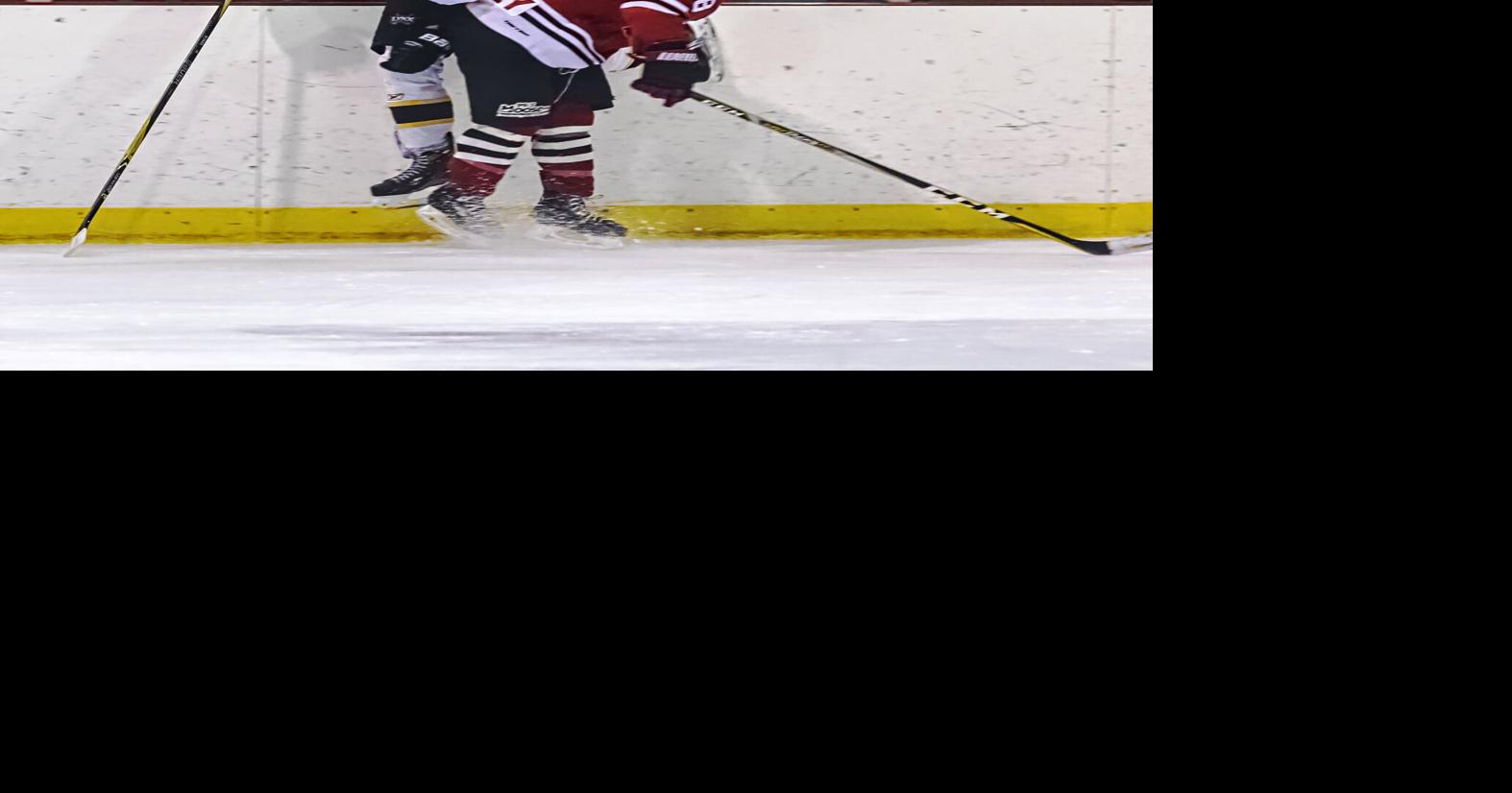 Wasaga Beach lands Greater Metro Hockey League franchise