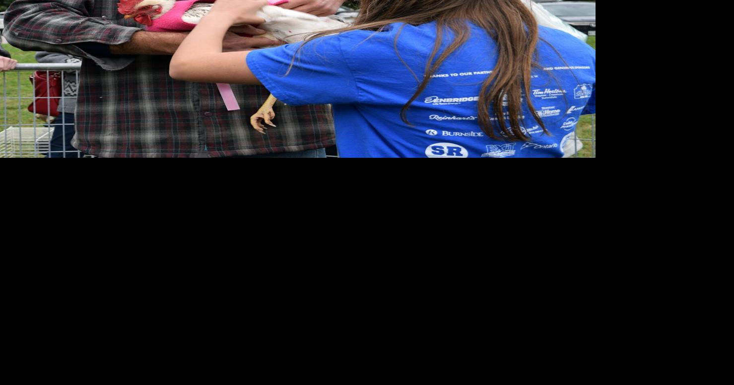 Small Halls Festival's chicken races at Duntroon Hall