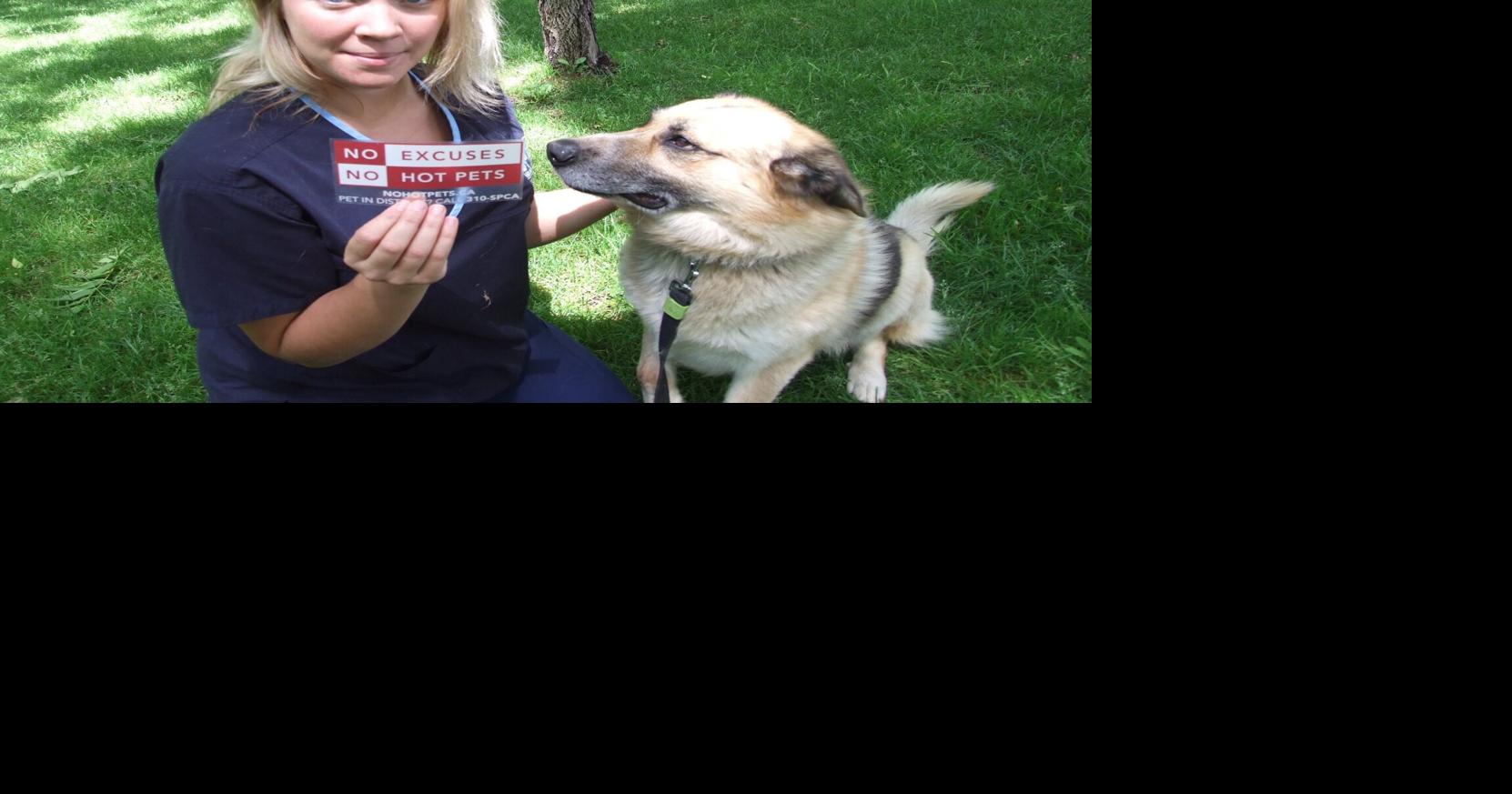 'No excuse' for leaving pets in hot cars Orillia Animal Centre