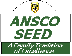 Ansco