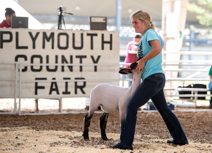 4-H'ers show off their lambs