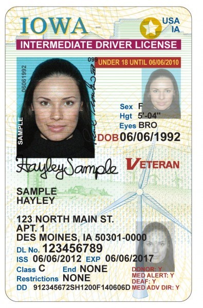 tennessee drivers license renewal