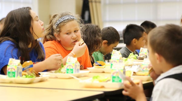 Siouxland school lunch menus