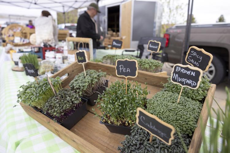 First Farmers Market of 2024 (copy)