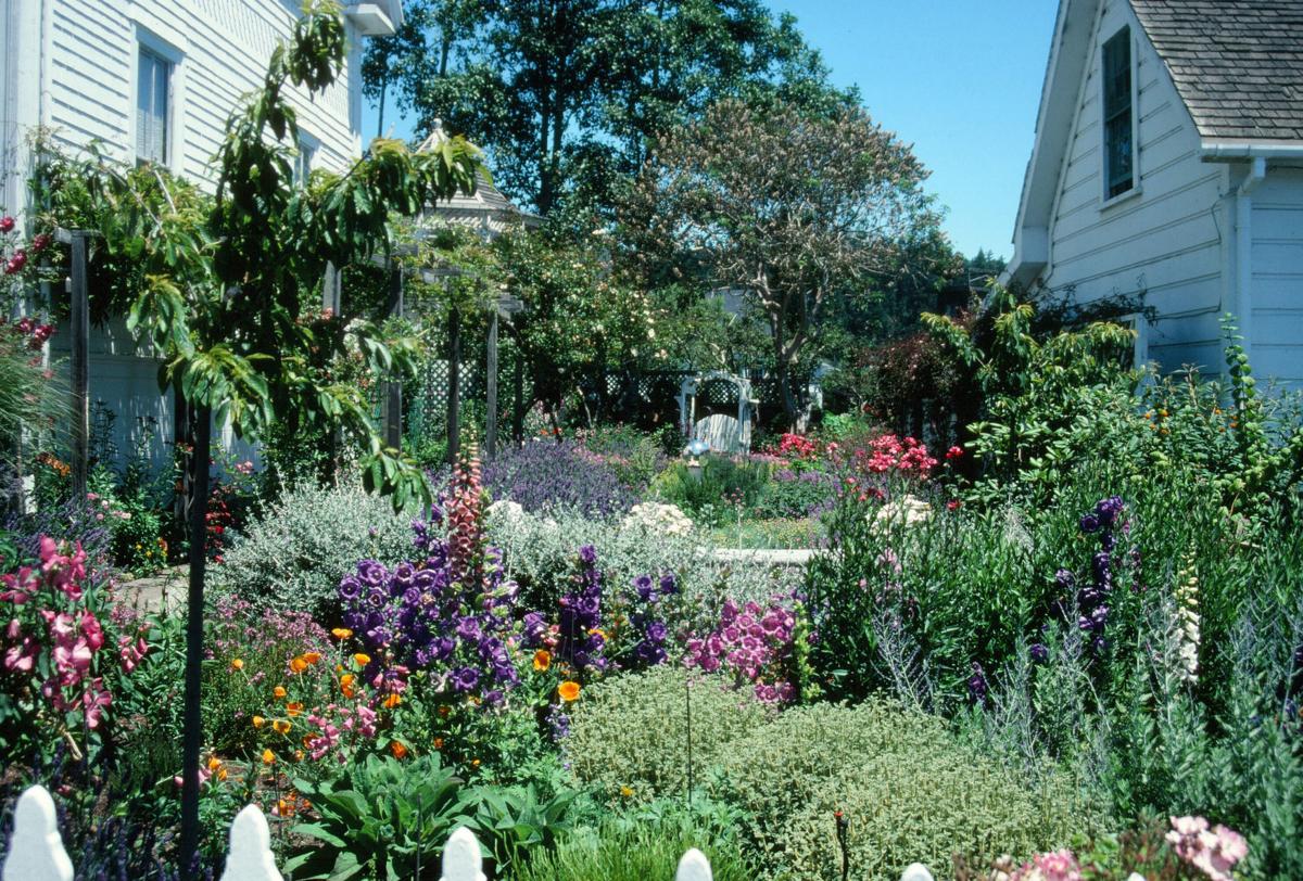 Yardsmart How To Maintain Privacy In Your Backyard Through
