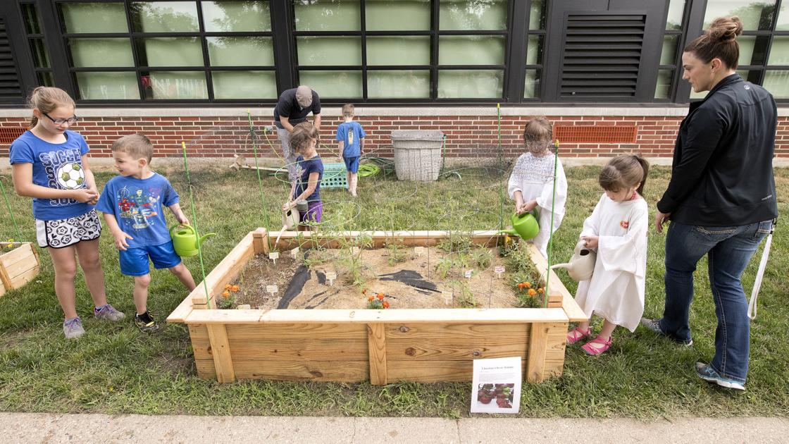 Learning garden gets thumbs up from young students