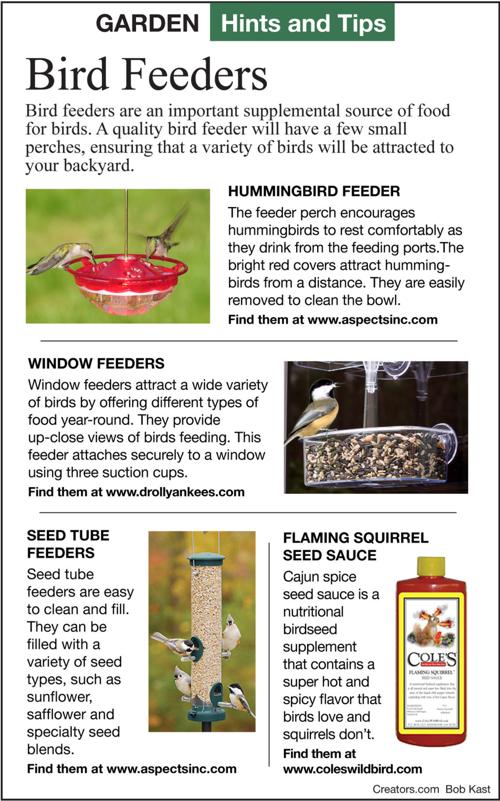 The Best Bird Feeders Siouxland Homes Siouxcityjournal Com