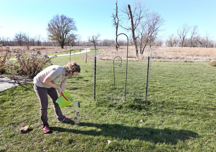 Bird feeders at Adams Homestead and Nature Preserve