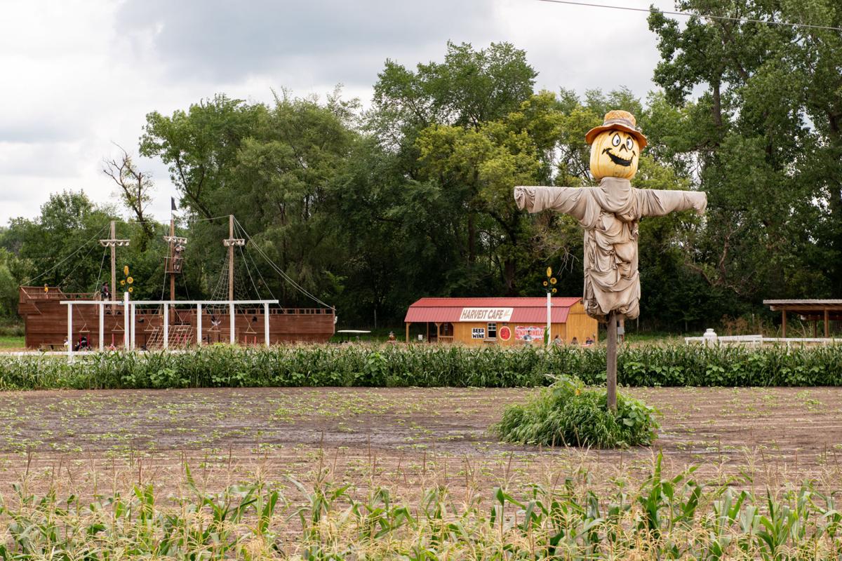 Scarecrow Farm provides summer fun for families
