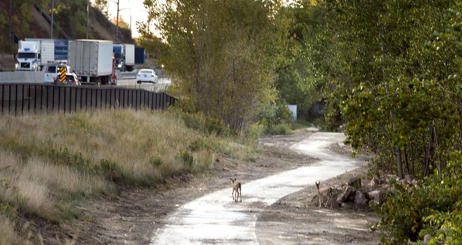 Riverfront trail nears completion #1