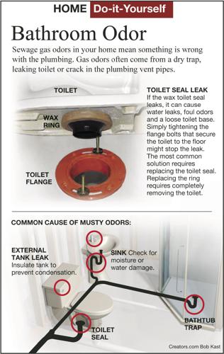 Common Causes of Sewer Gas Odors and How to Eliminate Them